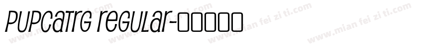 PupcatRg Regular字体转换